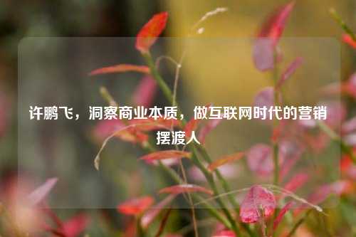 许鹏飞,洞察商业本质,做互联网时代的营销摆渡人