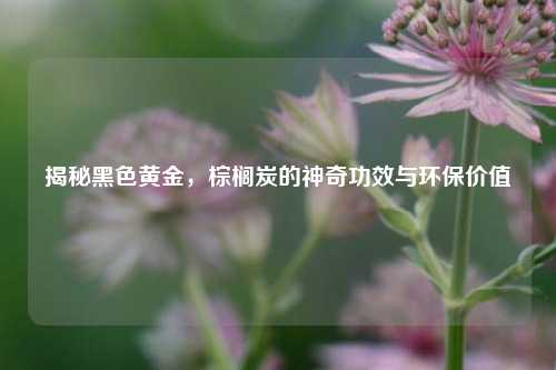 揭秘黑色黄金,棕榈炭的神奇功效与环保价值