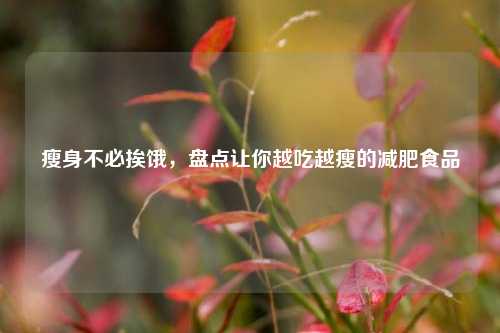 瘦身不必挨饿,盘点让你越吃越瘦的减肥食品