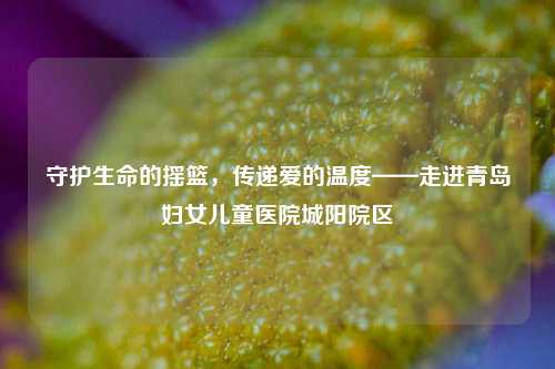 守护生命的摇篮,传递爱的温度——走进青岛妇女儿童医院城阳院区