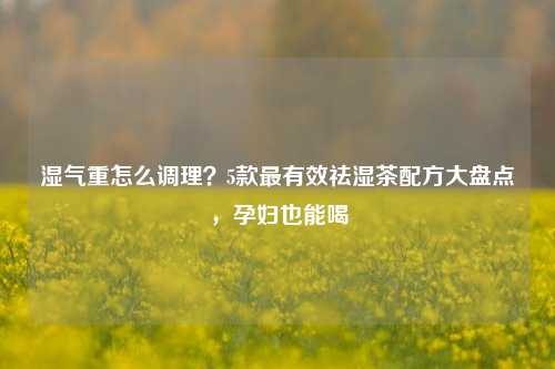湿气重怎么调理?5款最有效祛湿茶配方大盘点,孕妇也能喝