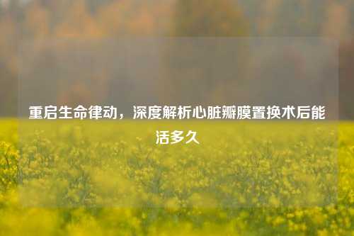 重启生命律动,深度解析心脏瓣膜置换术后能活多久