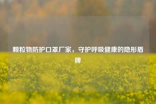 颗粒物防护口罩厂家,守护呼吸健康的隐形盾牌