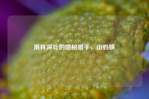 雨林深处的隐秘猎手,山蚂蟥