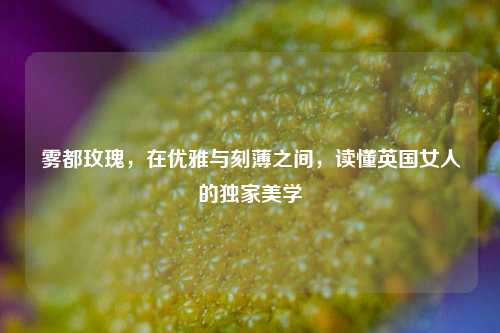 雾都玫瑰,在优雅与刻薄之间,读懂英国女人的独家美学