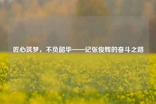 匠心筑梦,不负韶华——记张俊辉的奋斗之路