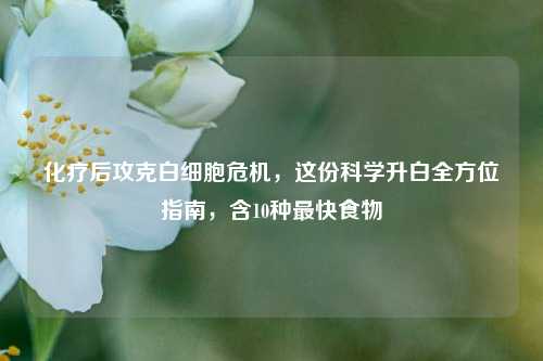 化疗后攻克白细胞危机,这份科学升白全方位指南,含10种最快食物