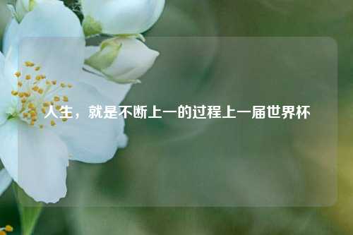 人生,就是不断上一的过程上一届世界杯