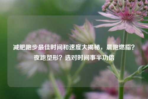 减肥跑步最佳时间和速度大揭秘,晨跑燃脂?夜跑塑形?选对时间事半功倍