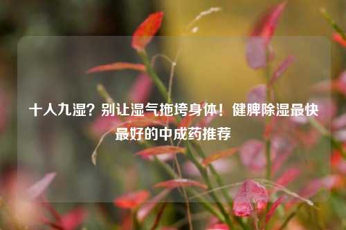 十人九湿?别让湿气拖垮身体!健脾除湿最快最好的中成药推荐