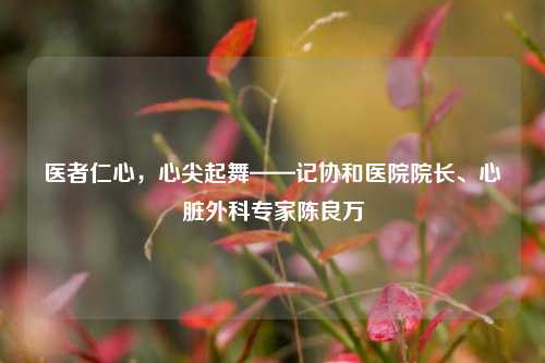 医者仁心,心尖起舞——记协和医院院长、心脏外科专家陈良万