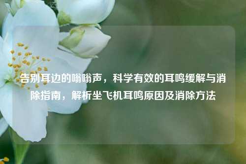 告别耳边的嗡嗡声,科学有效的耳鸣缓解与消除指南,解析坐飞机耳鸣原因及消除方法