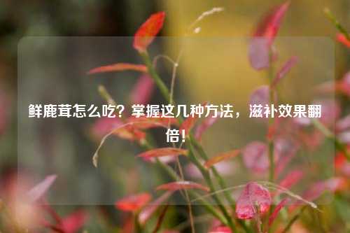鲜鹿茸怎么吃?掌握这几种方法,滋补效果翻倍!
