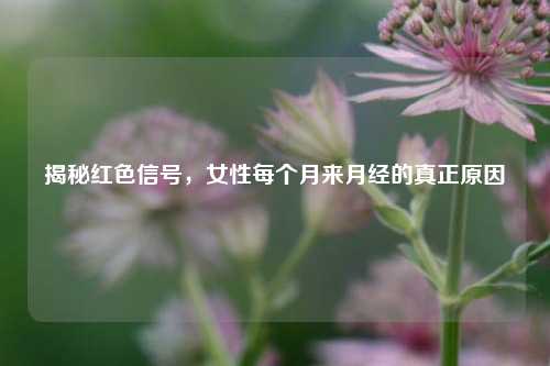 揭秘红色信号,女性每个月来月经的真正原因
