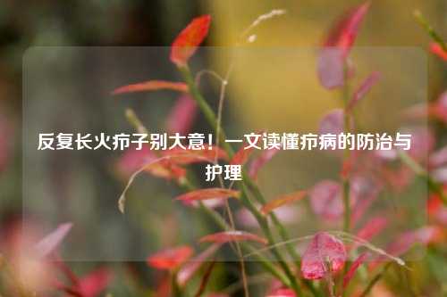 反复长火疖子别大意!一文读懂疖病的防治与护理