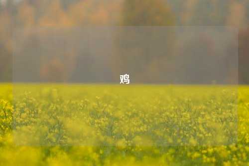 鸡