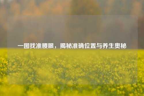一图找准腰眼,揭秘准确位置与养生奥秘