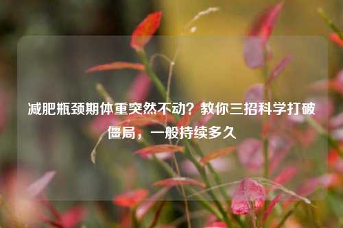 减肥瓶颈期体重突然不动?教你三招科学打破僵局,一般持续多久