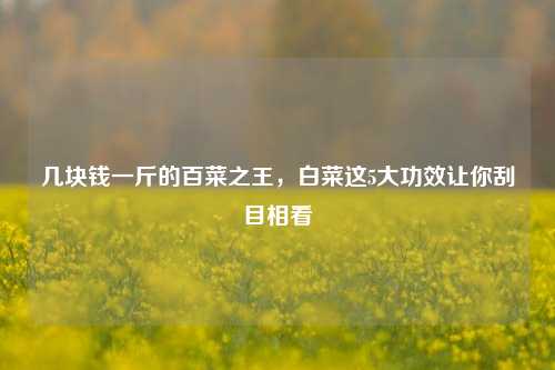 几块钱一斤的百菜之王,白菜这5大功效让你刮目相看