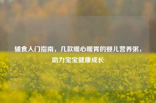 辅食入门指南,几款暖心暖胃的婴儿营养粥,助力宝宝健康成长