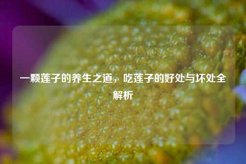 一颗莲子的养生之道,吃莲子的好处与坏处全解析