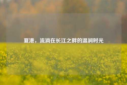 夏港,流淌在长江之畔的温润时光