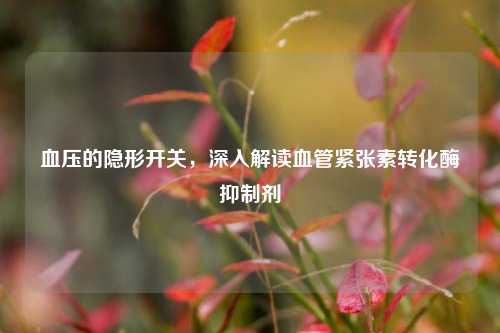 血压的隐形开关,深入解读血管紧张素转化酶抑制剂