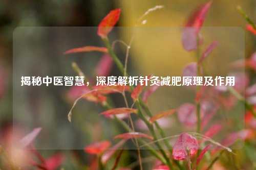 揭秘中医智慧,深度解析针灸减肥原理及作用