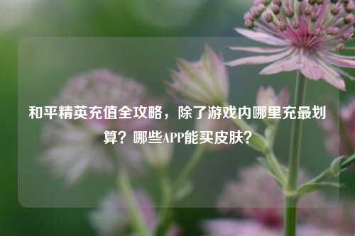 和平精英充值全攻略,除了游戏内哪里充最划算?哪些APP能买皮肤?