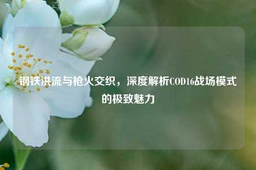 钢铁洪流与枪火交织,深度解析COD16战场模式的极致魅力