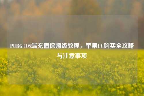 PUBG iOS端充值保姆级教程,苹果UC购买全攻略与注意事项