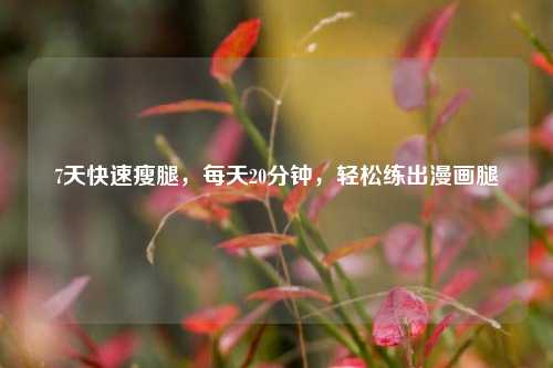 7天快速瘦腿,每天20分钟,轻松练出漫画腿