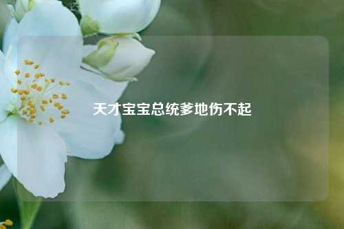 天才宝宝总统爹地伤不起