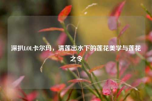 深扒LOL卡尔玛,清莲出水下的莲花美学与莲花之令