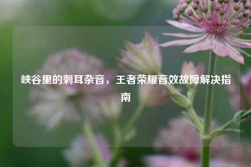 峡谷里的刺耳杂音,王者荣耀音效故障解决指南