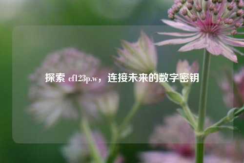 探索 cf123p.w,连接未来的数字密钥