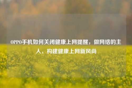 OPPO手机如何关闭健康上网提醒,做网络的主人,构建健康上网新风尚