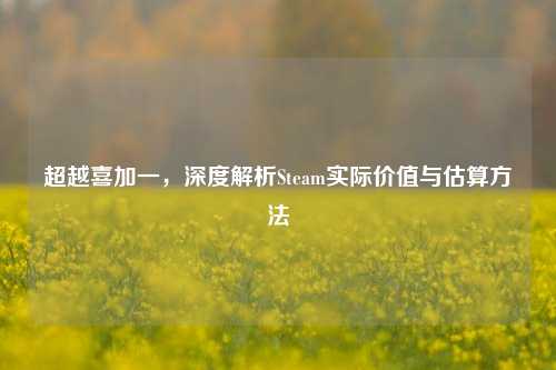 超越喜加一,深度解析Steam实际价值与估算方法