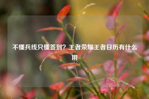不懂兵线只懂签到?王者荣耀王者日历有什么用