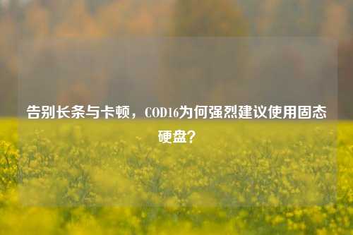 告别长条与卡顿,COD16为何强烈建议使用固态硬盘?