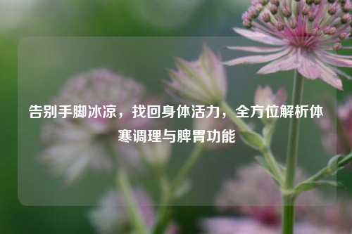 告别手脚冰凉,找回身体活力,全方位解析体寒调理与脾胃功能