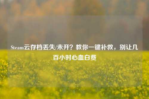 Steam云存档丢失/未开?教你一键补救,别让几百小时心血白费