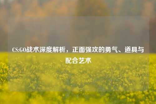 CS:GO战术深度解析,正面强攻的勇气、道具与配合艺术