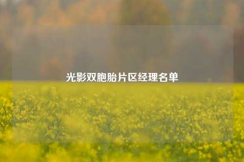 光影双胞胎片区经理名单