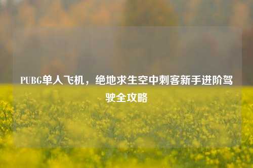 PUBG单人飞机,绝地求生空中刺客新手进阶驾驶全攻略