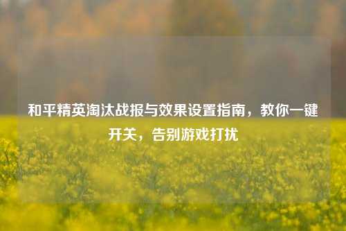 和平精英淘汰战报与效果设置指南,教你一键开关,告别游戏打扰