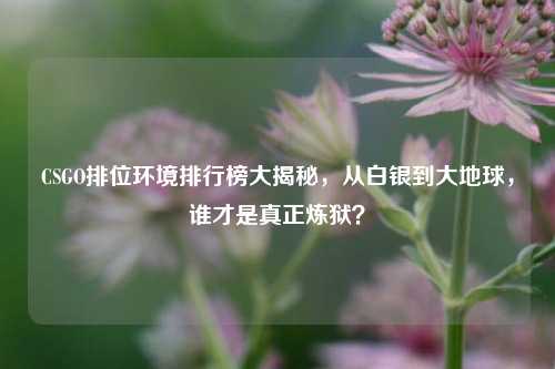 CSGO排位环境排行榜大揭秘,从白银到大地球,谁才是真正炼狱?