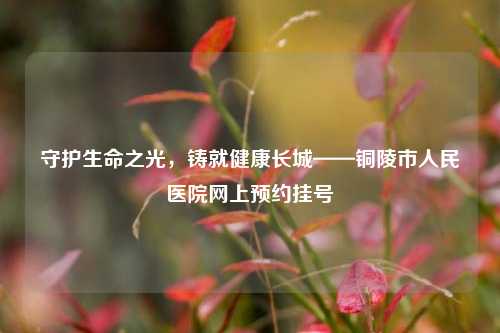 守护生命之光,铸就健康长城——铜陵市人民医院网上预约挂号