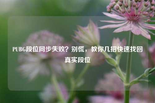 PUBG段位同步失败?别慌,教你几招快速找回真实段位
