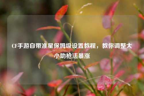 CF手游自带准星保姆级设置教程,教你调整大小助枪法暴涨